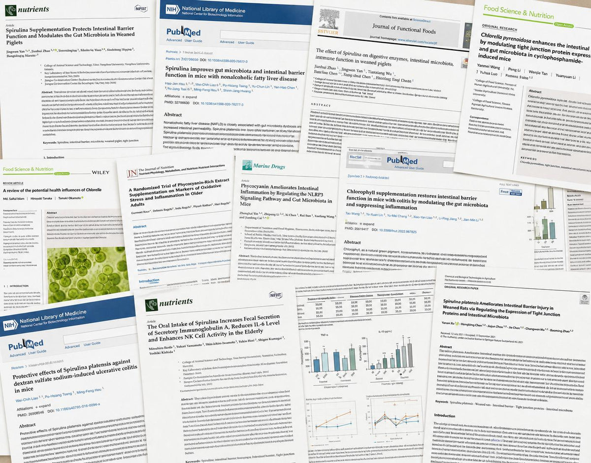 Peer-reviewed research papers on spirulina, chlorella, digestive enzymes and gut health