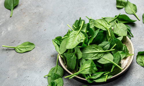 Spinach Concentrate