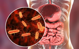 Taking Probiotics